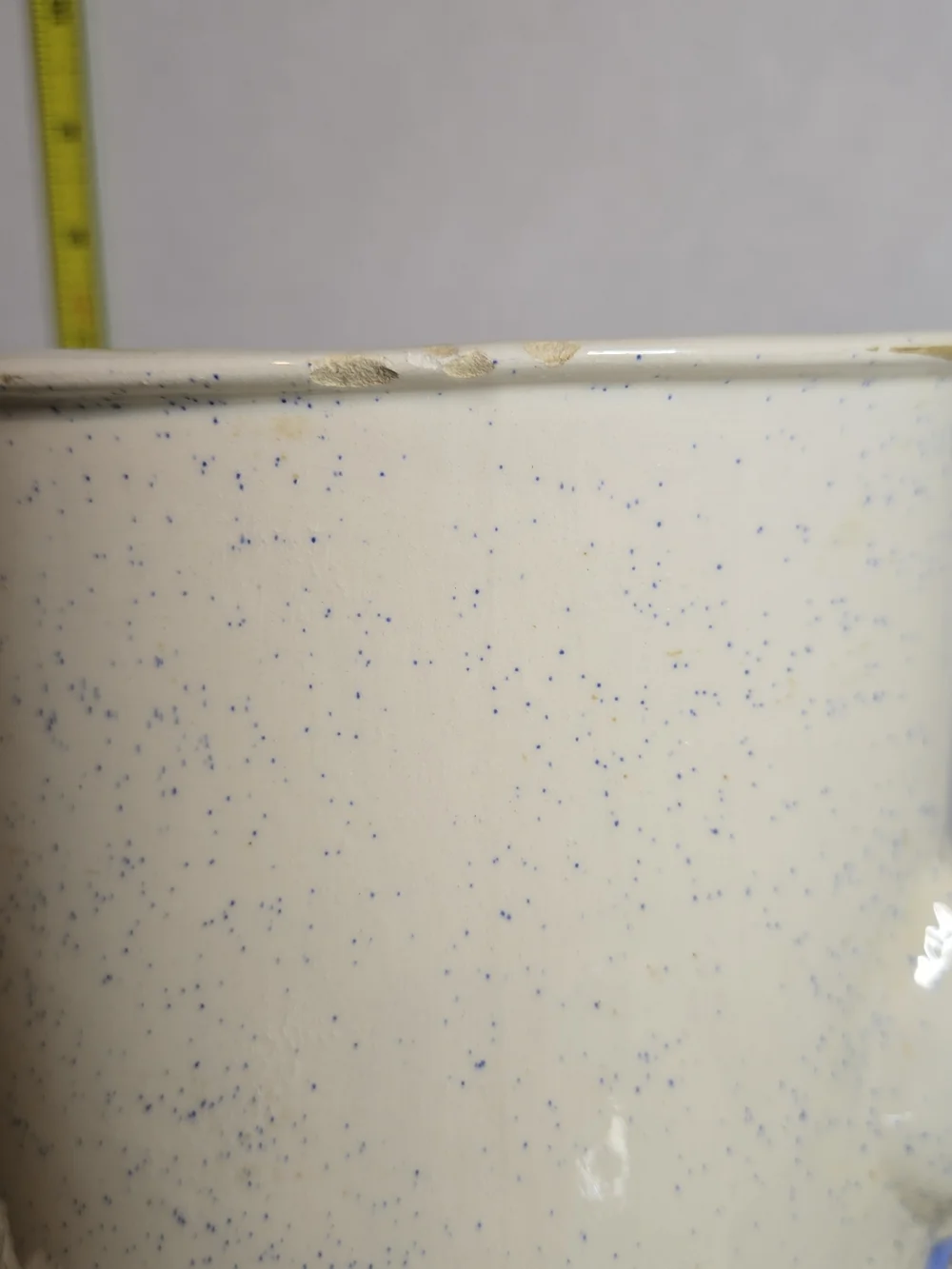 Vintage Canister Country Goose (Raised) Blue Speckled Spackle Glaze